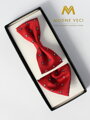 Herren Fliege mit Einstecktuch Modell 19 rot Paisley
