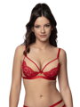 BH PUSH-UP TORFI ROT