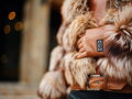 Luxuriöse kurze Lederjacke mit echtem Fuchspelz braun