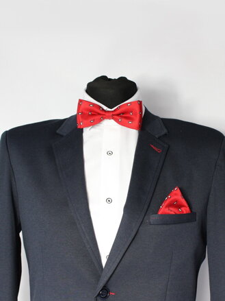 Herren Fliege mit Einstecktuch Modell 19 rot Paisley
