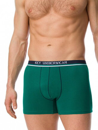 Herren Baumwoll Boxers MXH 242 B20 grün