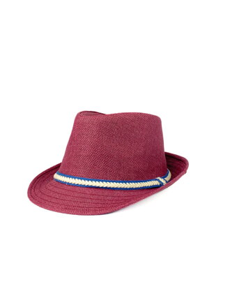 Pánsky klobúk v slivkovej farbe 17-201  