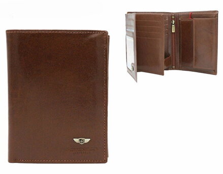 Herren-Lederbrieftasche PTN22311-VT/4874