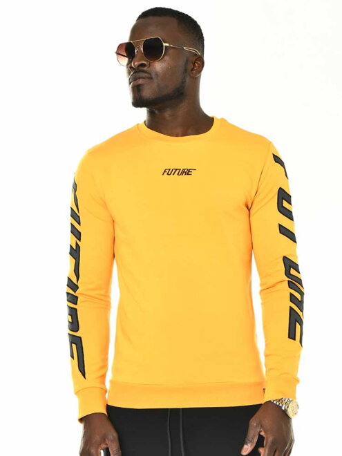 Herrenpullover FUTURE gelb