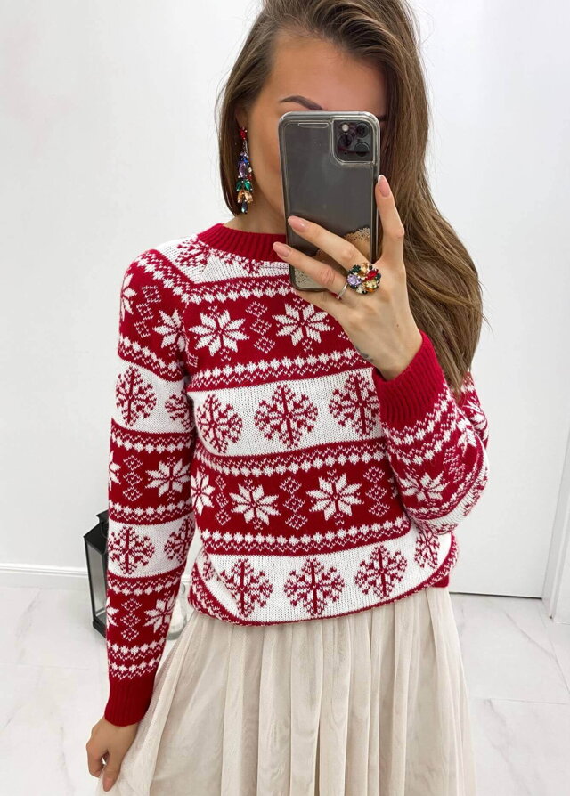 Weihnachtsstern rot-weißer Pullover