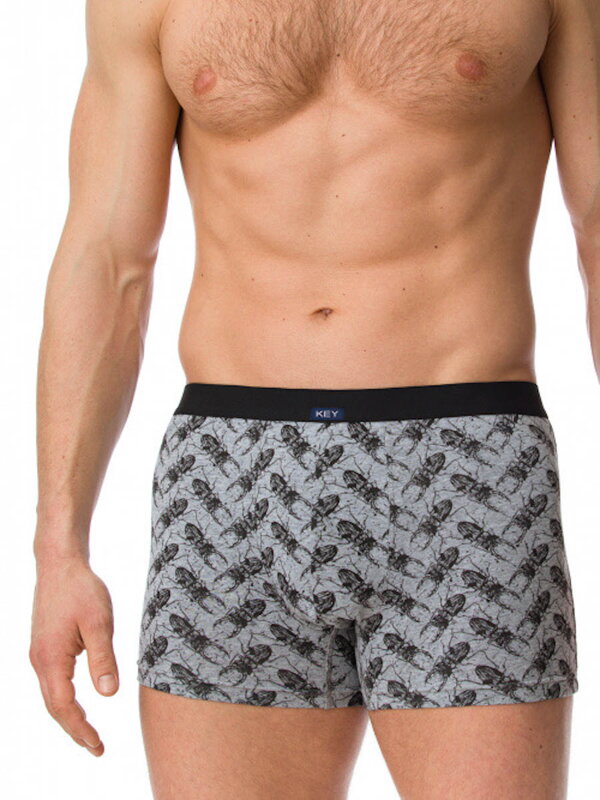 Herren Baumwoll Boxers MXH 800 B20 grau mit Muster Herren Baumwoll Boxers MXH 800 B20 grau mit Muster