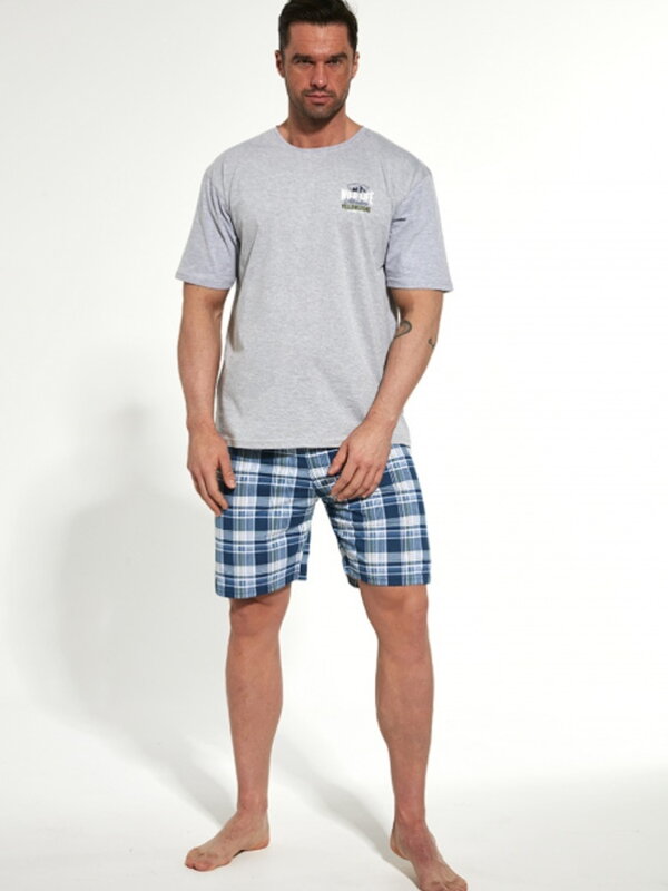 Graublauer kurzer Pyjama